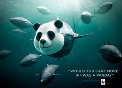 Социальная реклама Всемирного фонда дикой природы (WWF). 90 примеров