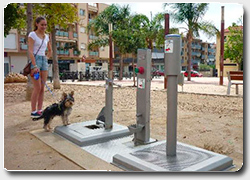 Бизнес-идея: общественный городской туалет для собак