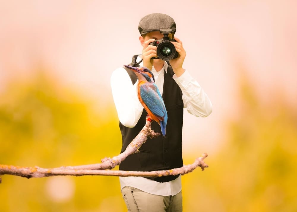 Тренд на бёрдвотчинг: наблюдение за птицами как бизнес