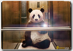 Креативная реклама от National Geographic: 50 примеров